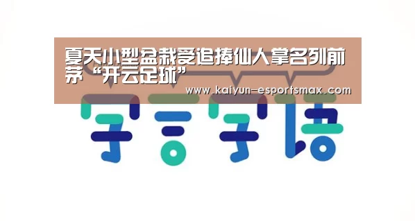 夏天小型盆栽受追捧仙人掌名列前茅“开云足球”