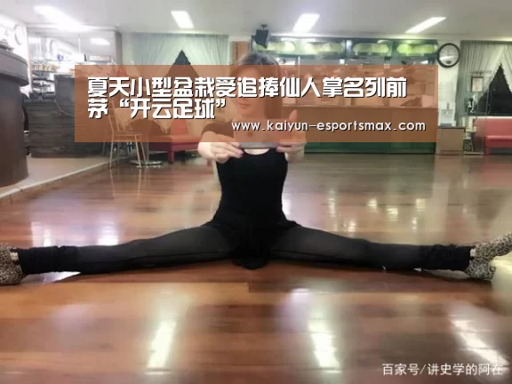 夏天小型盆栽受追捧仙人掌名列前茅“开云足球”(图2) 开云篮球