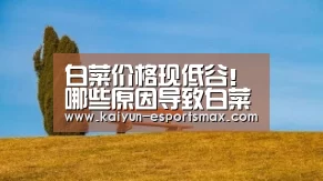白菜价格现低谷!哪些原因导致白菜卖不上价?(附今日白菜价格):开云篮球(图1) 开云赛事