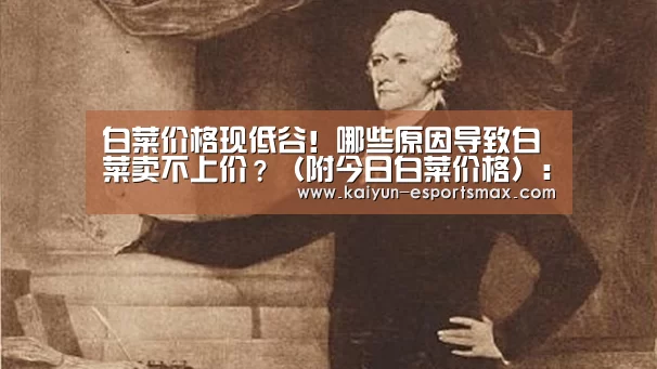 白菜价格现低谷!哪些原因导致白菜卖不上价?(附今日白菜价格):开云篮球(图2) 开云赛事