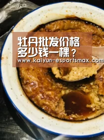 牡丹批发价格多少钱一棵?牡丹一般什么时候种植?【开云足球】(图1) 开云篮球