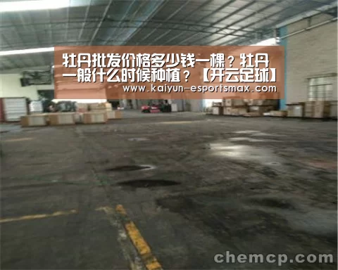 牡丹批发价格多少钱一棵?牡丹一般什么时候种植?【开云足球】(图2) 开云体育