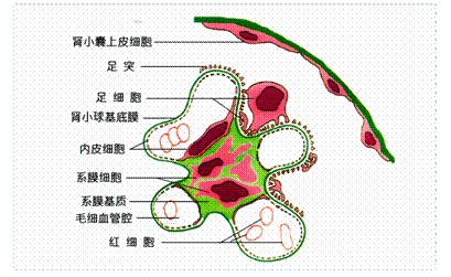 开云赛事